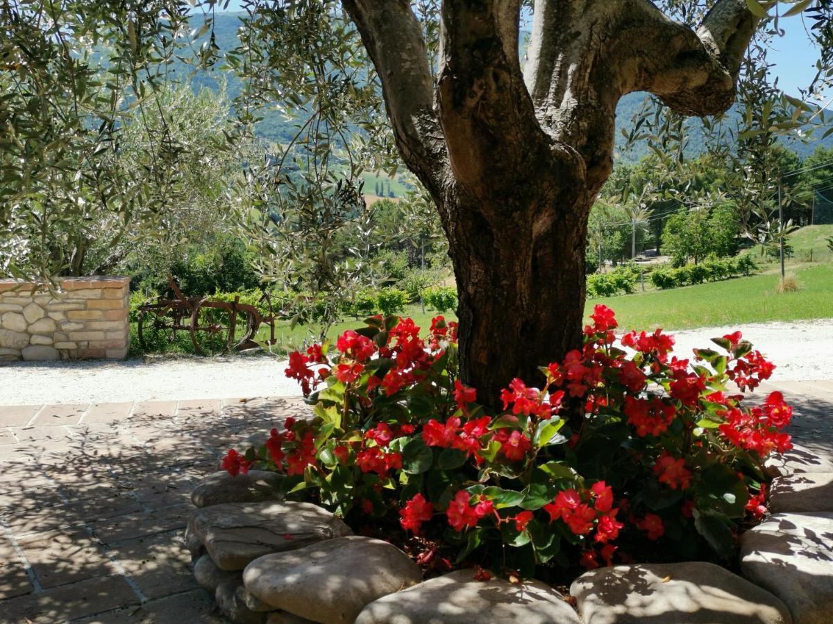 Agriturismo Sole Luna Piano Delle Pieve Luaran gambar