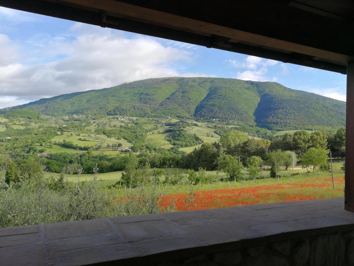 Agriturismo Sole Luna Piano Delle Pieve Luaran gambar